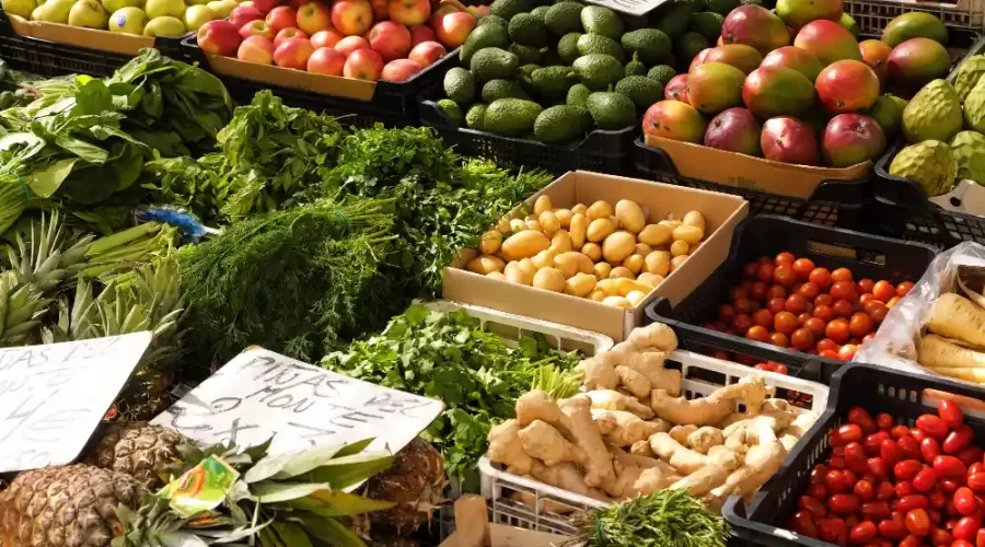 Nigerian Agricultural Exports Quality Standards and Certifications Buyers Should Know